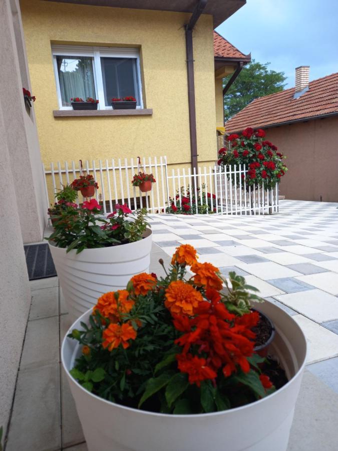 Leda Apartmani Smederevo Exterior foto